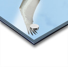 Pelican Cuban - 9 Acrylic print