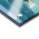 Cuban Pelican Dive 3 Acrylic print