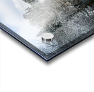 Montague river winter landscape Acrylic print