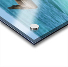 Pelican Cuban 14 Acrylic print