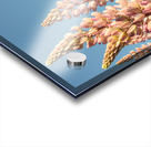 Colourful Lupins in bloom Acrylic print