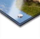 Pathway over the dunes to the beach. Acrylic print