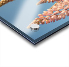 Colourful Lupins in Bloom 2 Acrylic print