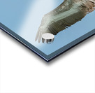 Pelican Cuban 15 Acrylic print