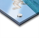 Pelican Cuban 6 Acrylic print