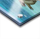 Pelican Cuban 7 Acrylic print