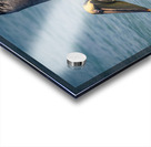 Cuban pelican splash Impression Acrylique