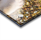 Wading toes in the ocean water Acrylic print