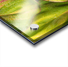 Wet Jungle Leaves closeup Acrylic print