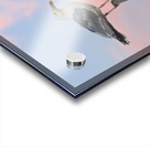 Seagull beautiful sky Acrylic print