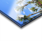 Cuban resort tropical garden Acrylic print