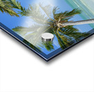 Cuban beach with 2 palmtrees Acrylic print