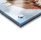 Chalong temple 2 0848 Acrylic print