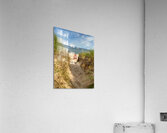 Basin head lifeguard chair PEI Acrylic Print