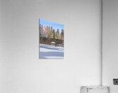 Bird sanctuary pond winter Acrylic Print