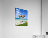 Beach Umbrella cuban Acrylic Print