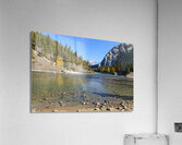 Banff Bow River shore and mountains Acrylic Print