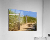 Path Almost at the beach Acrylic Print