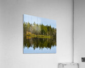 Bird sanctuary pond reflection Acrylic Print