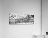 Cuban brown anole in black and white Acrylic Print