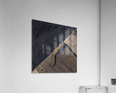 Gecko Anole on boardwalk Acrylic Print