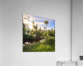 Jungle Garden Dominican Acrylic Print