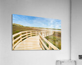 Greenwich boardwalk trail Acrylic Print