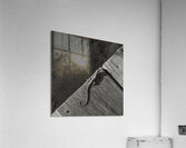 Gecko Anole on boardwalk in BW Acrylic Print