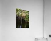 Jungle tree waterfall sunrays Acrylic Print