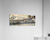 Cuban brown anole on branch Acrylic Print