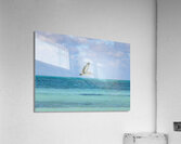 Pelican Cuban 12 Cuba Acrylic Print