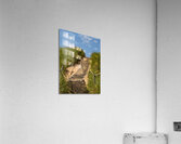 Pathway over the dunes to the beach. Acrylic Print