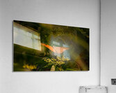 orange butterfly Acrylic Print