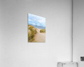 PEI sand dune beach view Acrylic Print