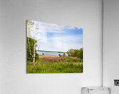 Prince Edward Island field view with ocean Acrylic Print