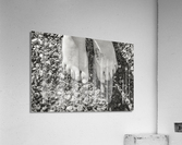 Toes in the Water BW Acrylic Print