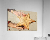 Starfish in womans hands Impression acrylique