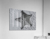 Giant starfish in black and white Impression acrylique