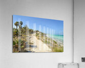Walk on Cuban Dunes Ocean Acrylic Print