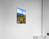 Skyline trail Cape Breton Hills Acrylic Print