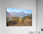 Bluerock Wildland golden tree Acrylic Print