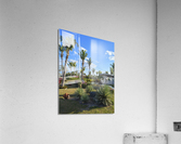 Cuban resort tropical garden Acrylic Print