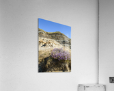 Hoodoos rocks with purple flowers Acrylic Print