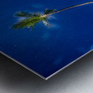 palmtrees beach night Metal print