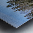 Bird sanctuary pond winter Metal print