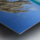 Beach umbrella cuban 2 Metal print