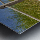 Path Almost at the beach Metal print