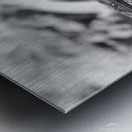 Cuban brown anole in black and white Metal print