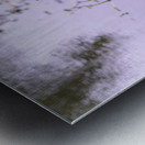 dominican black & white herring Metal print