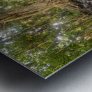 jungle tree waterfall Metal print